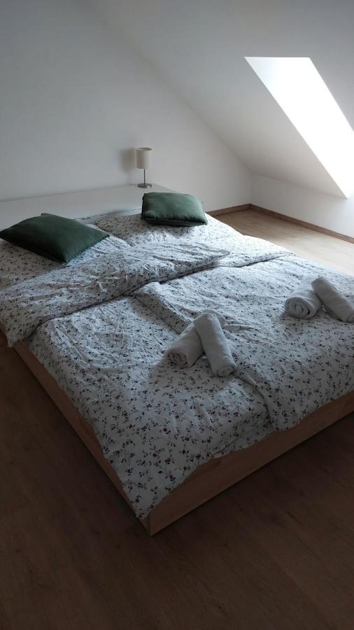 Kvilda! Apartman Terezkaアパートメント エクステリア 写真