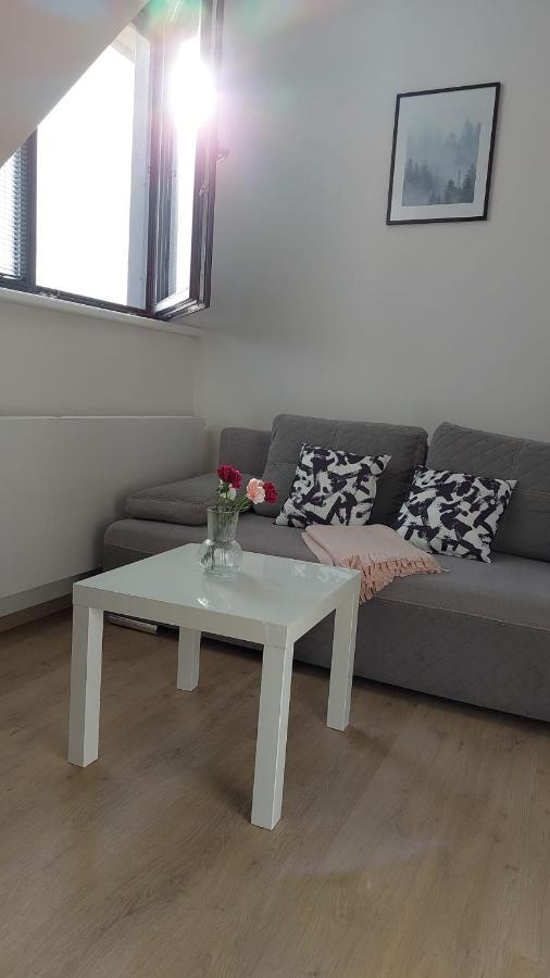 Kvilda! Apartman Terezkaアパートメント エクステリア 写真